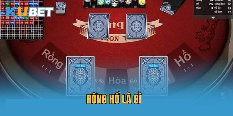 Rồng Hổ là gì?